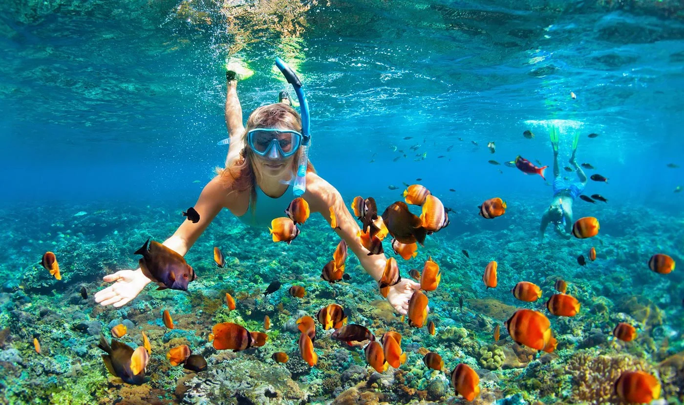 Reef diving in the Caribbean